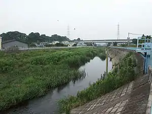 早渕川 2006年6月25日撮影