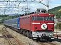 九州区間を走行する「はやぶさ」（2007年10月27日 木葉駅）