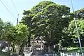 日吉神社