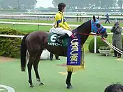 2010年CBC賞表彰式
