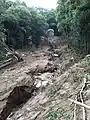 土石流が流下した沢。巨岩が露出しているのが分かる（2014年広島市）