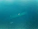 水面から右舷側が見える