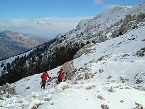 ヘリコン山