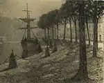 港の木々