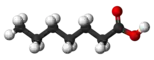 分子模型