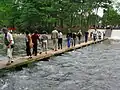 高麗川に架かるドレミファ橋(流れ橋)