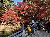 紅葉