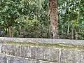 東塚古墳