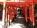 千本鳥居