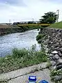 池田小学校付近の東川（2020年6月）