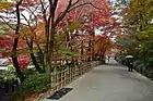 散策路（2014年（平成26年）11月）