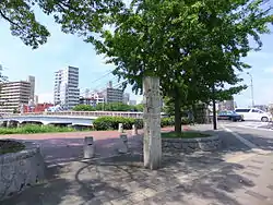 全体。