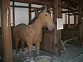 馬屋内部