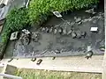 淡水カメ池