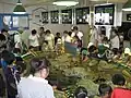 タッチプール内