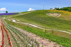 日の出公園（2022年6月）