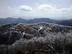 南南西を望む