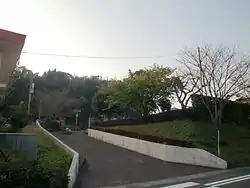 和田小学校