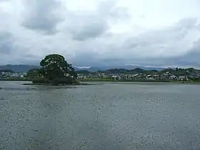 平池