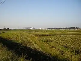 平方・江戸川沿いの田園地帯