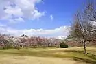 平芝公園（2019年（平成31年）3月）