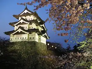夜桜ライトアップ(弘前公園)