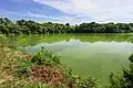 広沢池