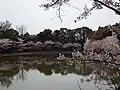 亀池