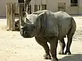 クロサイ