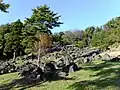 ロックガーデン