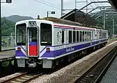 リニューアル工事施工前（2004年7月、虫川大杉）