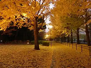 保土ケ谷公園区庁舎位置