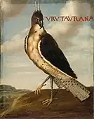 Spizaetus ornatus