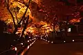 秋の紅葉(京都府京都市 嵐山・宝厳院)