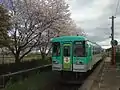 フラワ2000-3型と桜