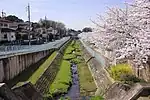 北斗台団地内を流れる北斗川と桜並木。（2022年（令和4年）4月）