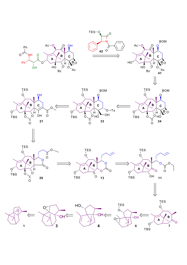 Holton taxol total synthesis retrosynthesis