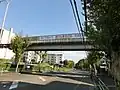 左のポルトガル語表記の元となった日本語の交通標語
