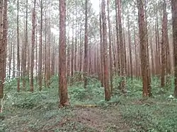 本丸跡(2020年8月)