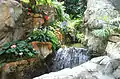 香港公園の温室