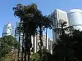 香港公園は高度に都市化されたビジネス街中心部の高層ビルに囲まれている