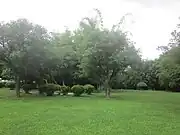 草地。