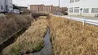 本地川（西本地町・小坂町境）