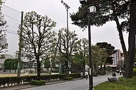 本庄高校東門内の風景
