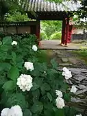 2020年6月13日撮影