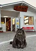 同(勤務時間外)