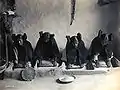 トウモロコシの粉挽き(1906年)