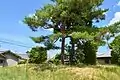 飛地ほ号