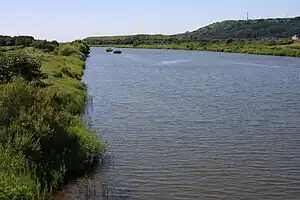 堀株川 2012年8月8日撮影