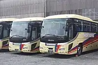 1104, 4959堀川観光バス譲渡後に導入された貸切車は下記の「PLUM LINER」ではなく路線バスに準じた色の組み合わせとなった